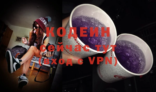 2c-b Рославль